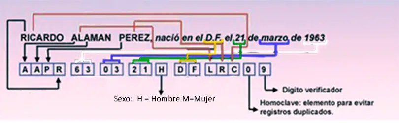 Calculo de curp